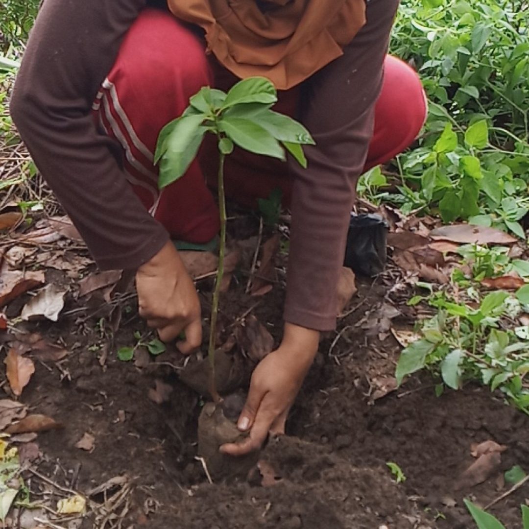 Rehabilitasi DAS Desa Sapit Lombok Timur